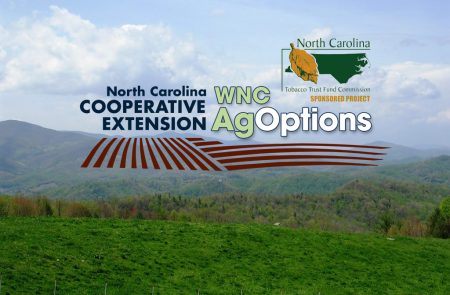 Funding By WNCAg Options