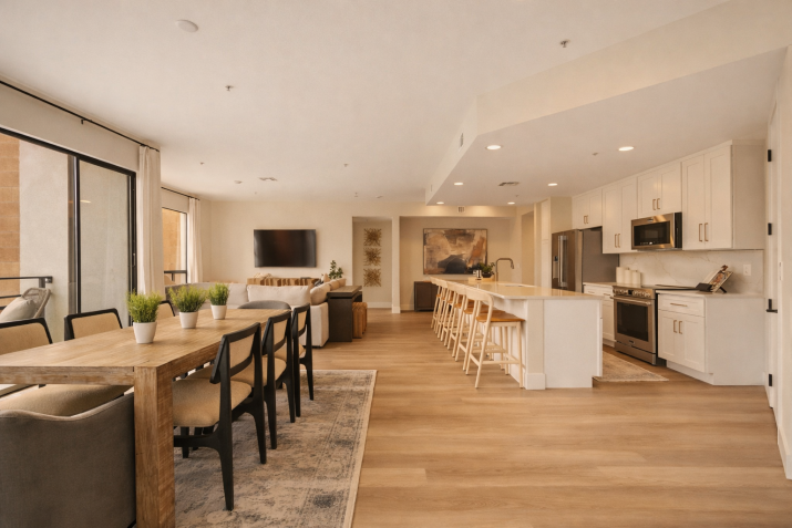 Kitchen and Living Room | Orterra Residences