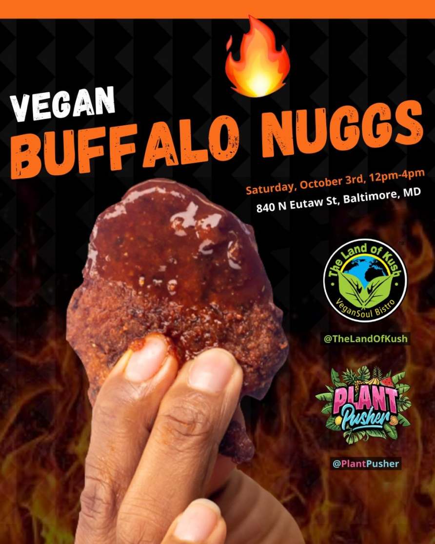 Marylandian The Land of Kush Prepares for Its 10Year Anniversary